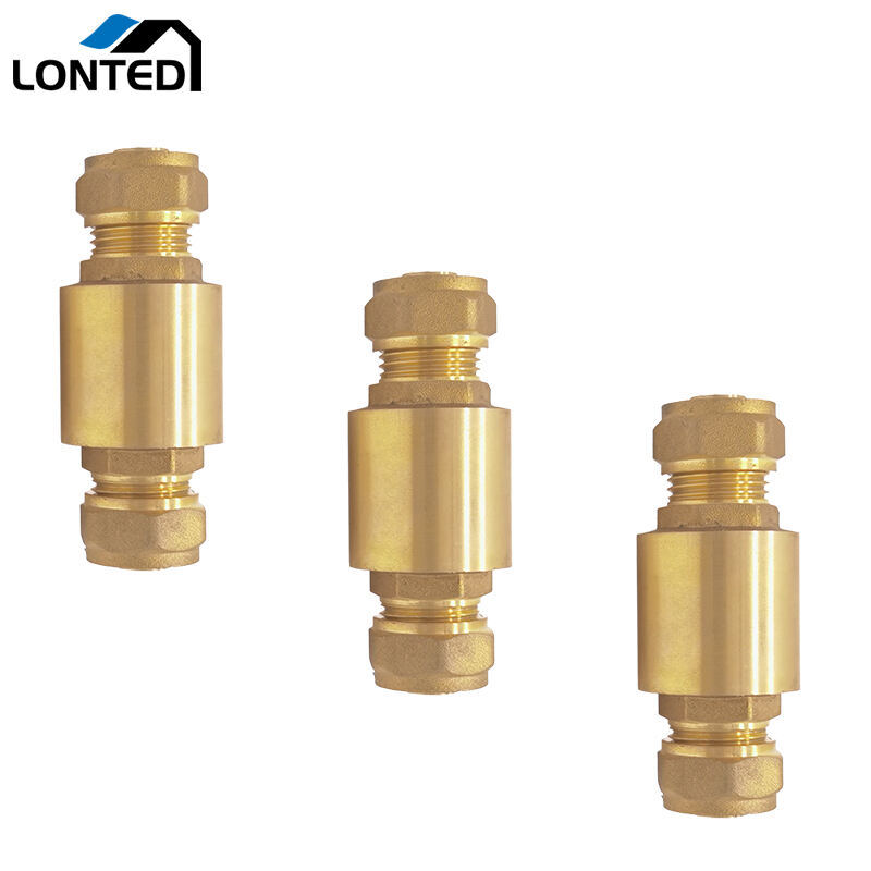 Spring check valve with double nut LTD4006