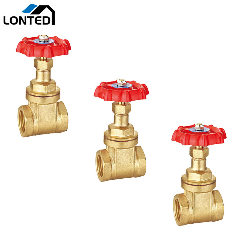 Brass gate valve LTD6105