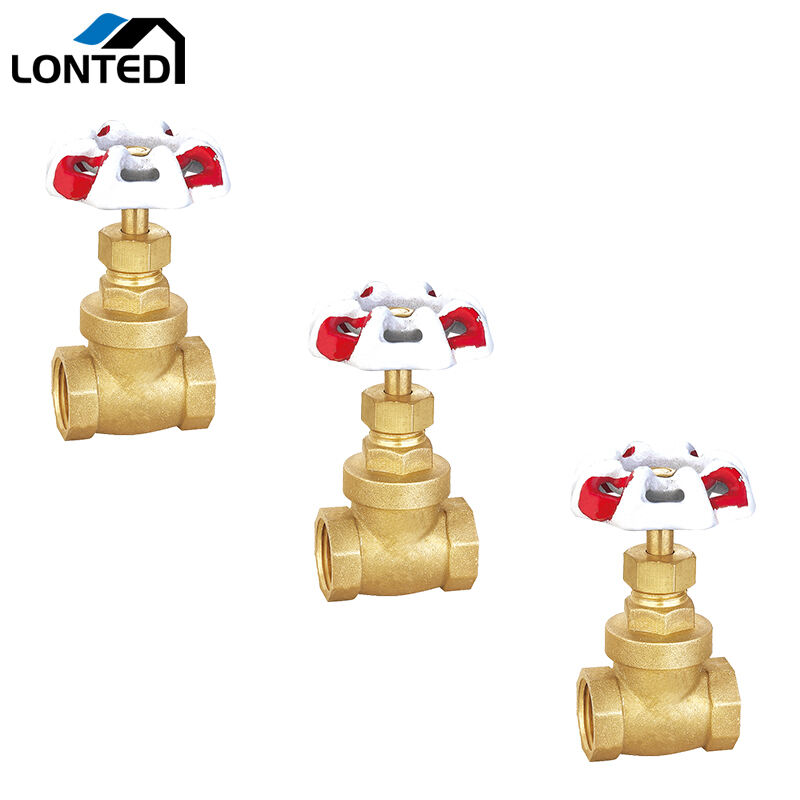 Brass gate valve LTD6106