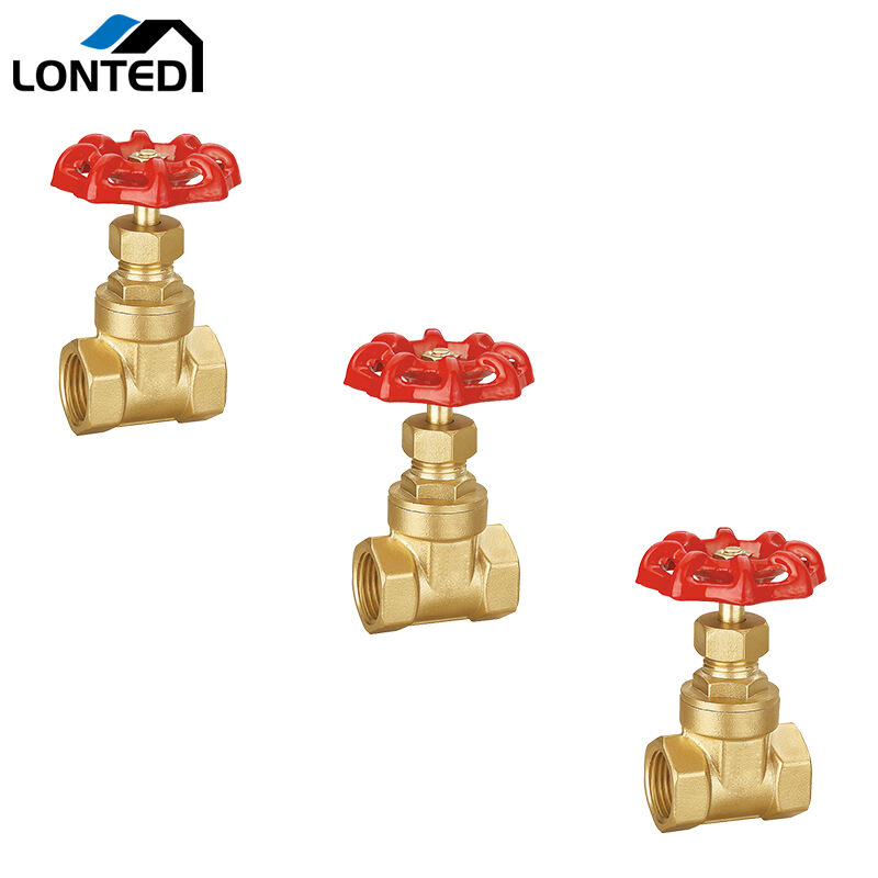 Brass gate valve LTD6107