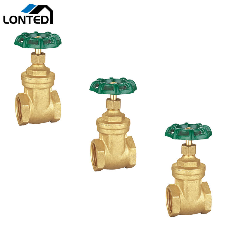 Brass gate valve LTD6102