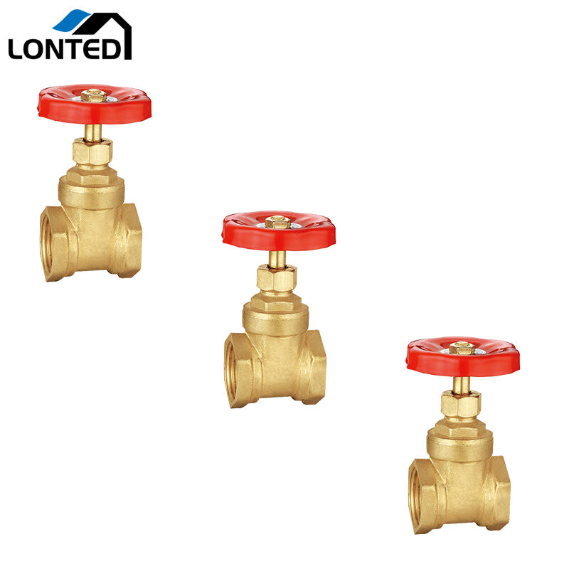 Brass gate valve LTD6108