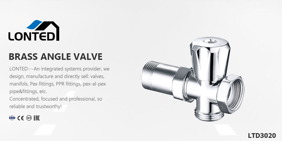 pneumatic valve engine valve.jpg